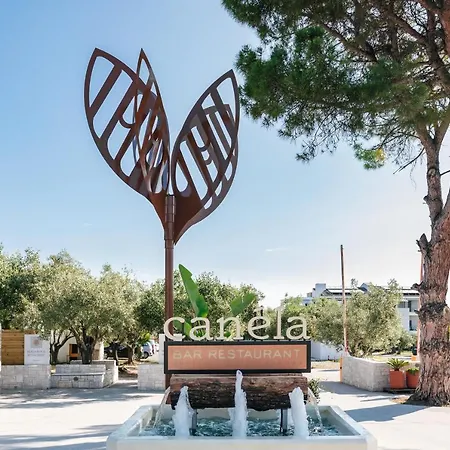 Blue Carpet Luxury 4*